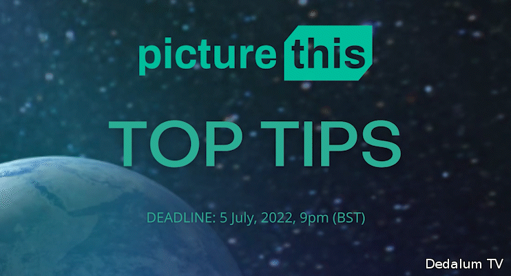Top tips: entering Picture This