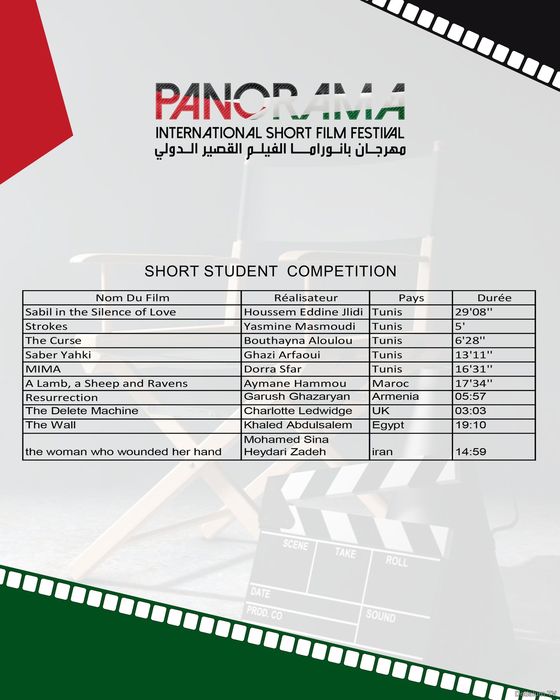 Panorama International Short Film Festival,PISFF